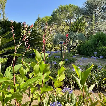 Garden Cap D'antibes Apartment Antibes